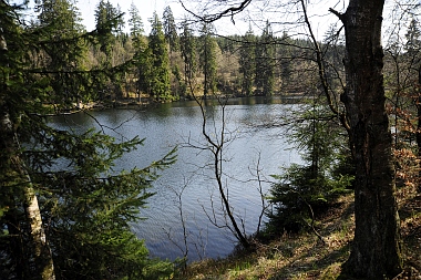 Silberteich bei Braunlage Oberharzer Wasserwirtschaft Bilder